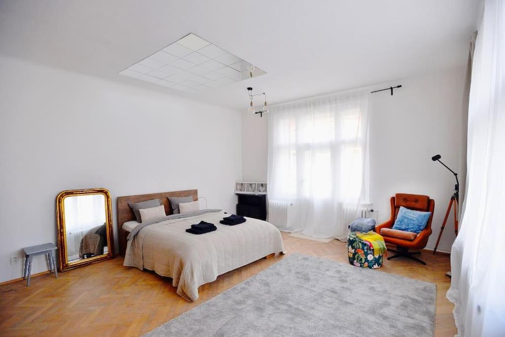 Apartment Airy & Bright Flat In Dejvice By Castle Prague