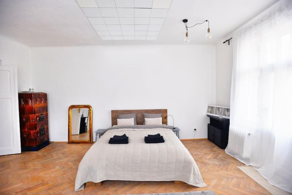 Airy & Bright Flat In Dejvice By Castle Apartment